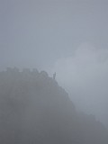 IMG_8631