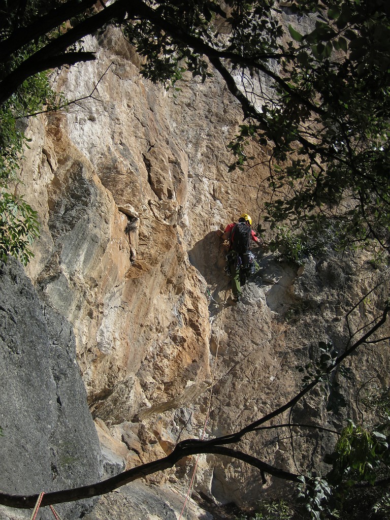 IMG_9223.JPG