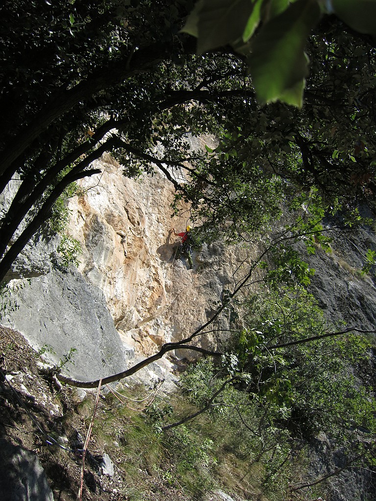 IMG_9225.JPG - Una cengetta dopo i primi 3 tiri