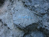 IMG_9202