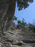 IMG_9231