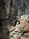 IMG_9239