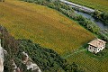 IMG_2650