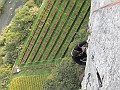 IMG_2652