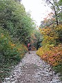 IMG_2657