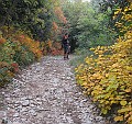 Untitled-1