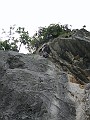 IMG_0771