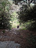 DSCN8460