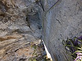 IMG_1976