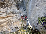 IMG_1977