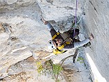 IMG_1979