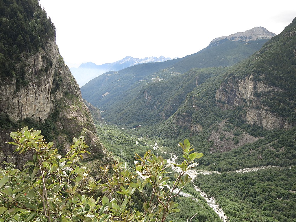 IMG_5452.JPG