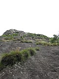 IMG_5443