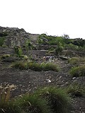 IMG_5444
