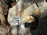 IMG_20190209_105225
