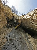 IMG_9972