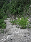 IMG_0596