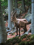 IMG_0641