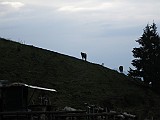 IMG_5267