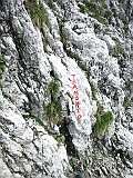 IMG_5291