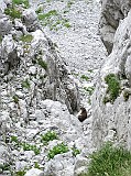 IMG_5293