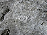 IMG_6893