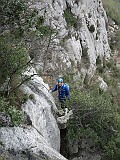 IMG_6894