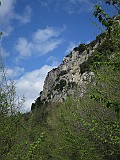 IMG_6914