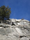 IMG_9904