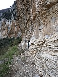 IMG_6338