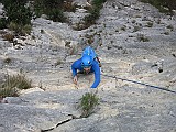 IMG_6361