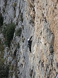 IMG_6376
