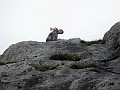 IMG_0937