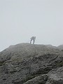 IMG_0944