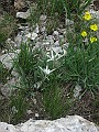 IMG_0948