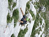 IMG_5118