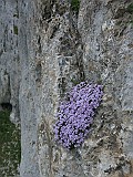 IMG_5132