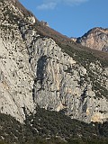 IMG_9550