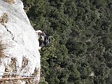 IMG_9555