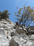 IMG_9559