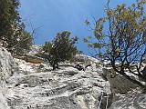 IMG_9561