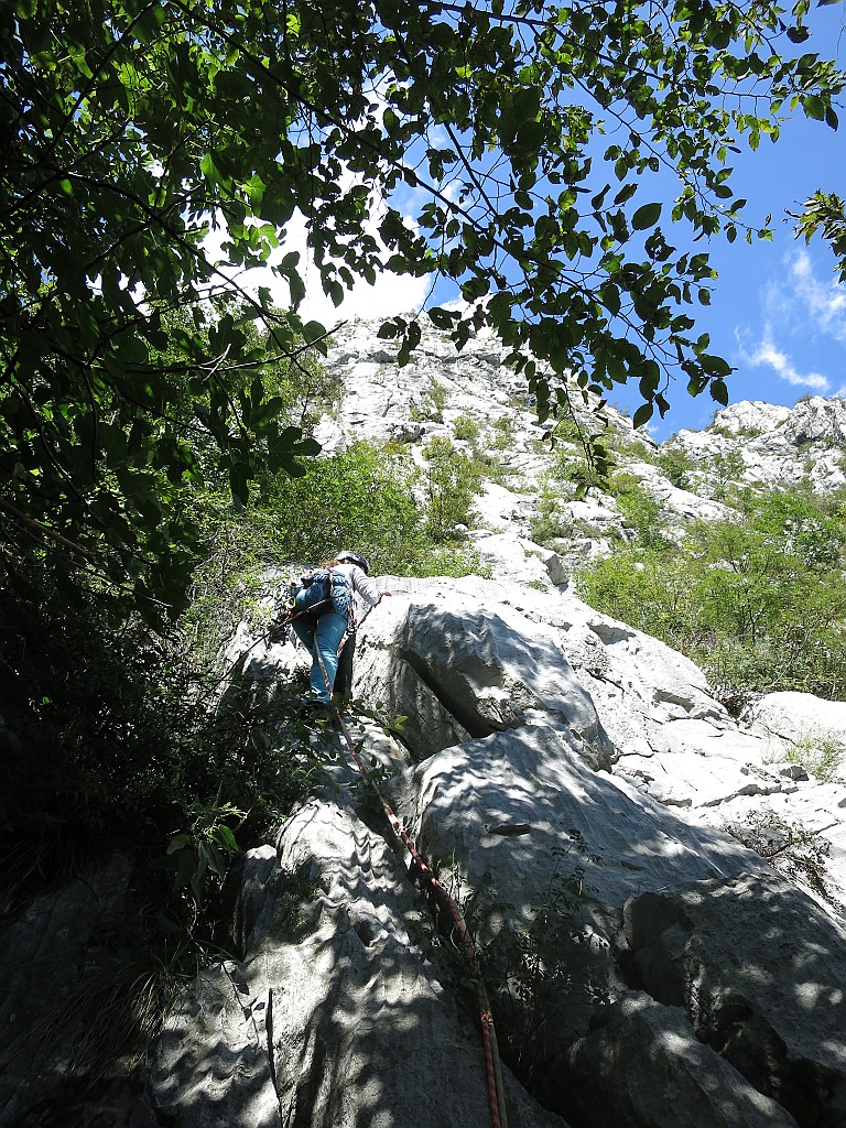 IMG_7773.JPG