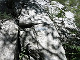IMG_7771