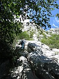 IMG_7773
