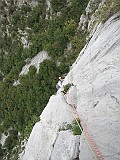 IMG_7792