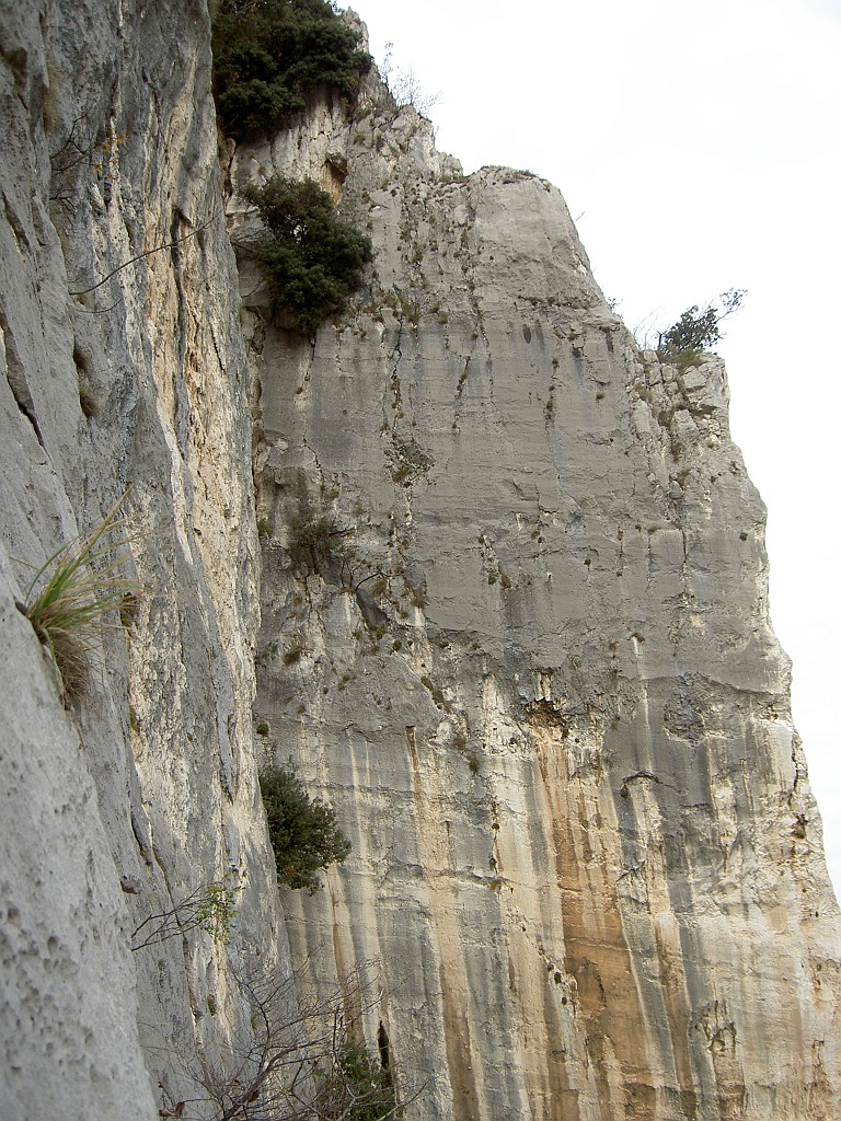 PICT9788.JPG