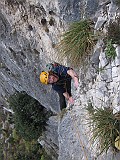 IMG_3621