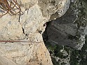 IMG_7377