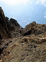 IMG_7388