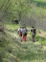 IMG_7390